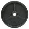 25kg Cast Iron Olympic Weight (1of) -The Gym Revolution Shop 25kg cast