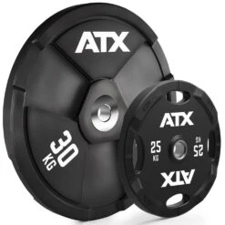 ATX Wagon Wheel - 30kg -The Gym Revolution Shop atx ww 3000 02 vergleich