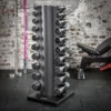 Chrome Dumbbell Set 1-10kg + Rack -The Gym Revolution Shop ck satz r 3907 detail01