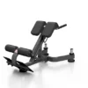 TGR Series 45 Degree Hyperextension Bench -The Gym Revolution Shop eng pm lower back bench mp l212 marbo sport 26542 5