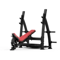 TGR Series Olympic Incline Bench -The Gym Revolution Shop eng pm olympic incline bench mf l004 marbo sport 26509 5