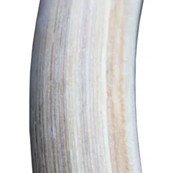 ATX Wooden Gym Rings -The Gym Revolution Shop gym rings holz 1 paar inklusive straps 3467 4