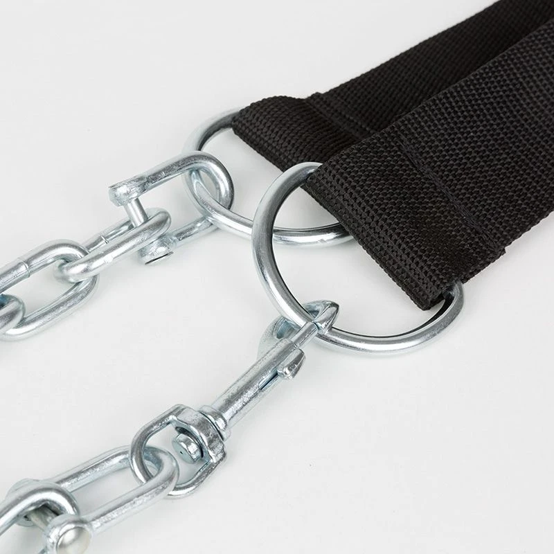 Heavy-Duty Head Harness 5 Heavy-Duty Head Harness - Image 3